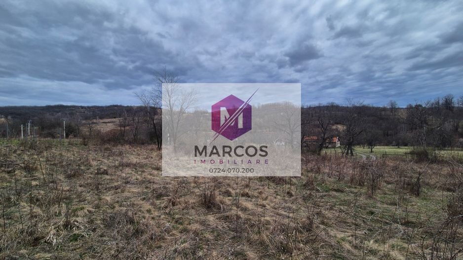 Vand 2 parcele de 5700 mp zona Iabalcea - Poză 9