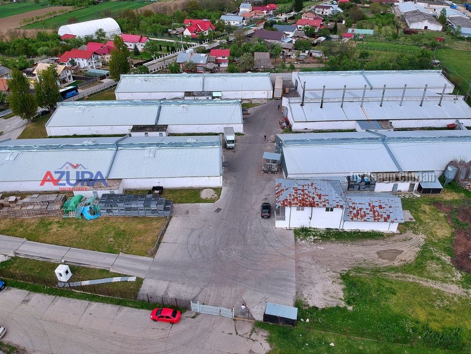 COMISION 0% - HALE Calinesti Arges - Poză 6