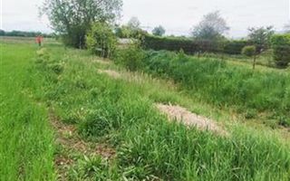 teren intravilan Stupini-Albinelor - Poză 9