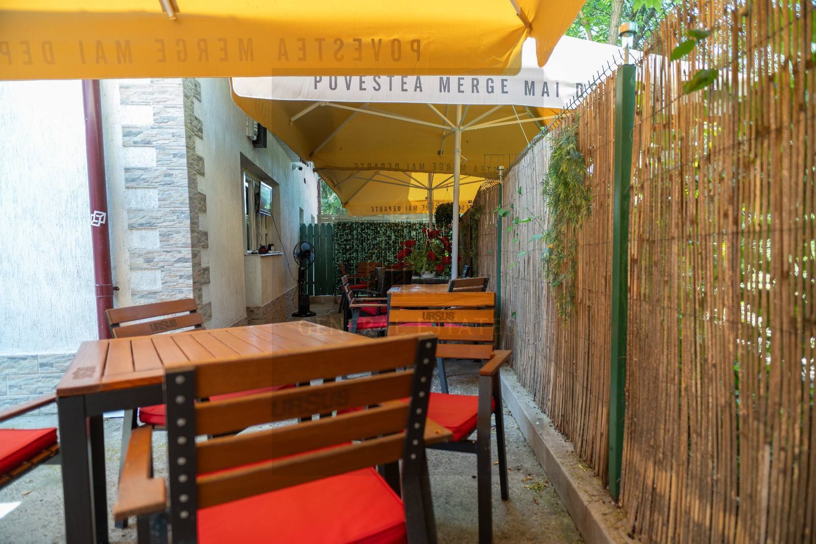 Afacere la Cheie în cartierul Frumoasa, Iași ! - Poză 8