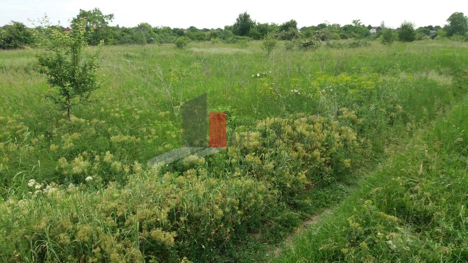 Teren Buftea cu iesire la lac - Poză 10