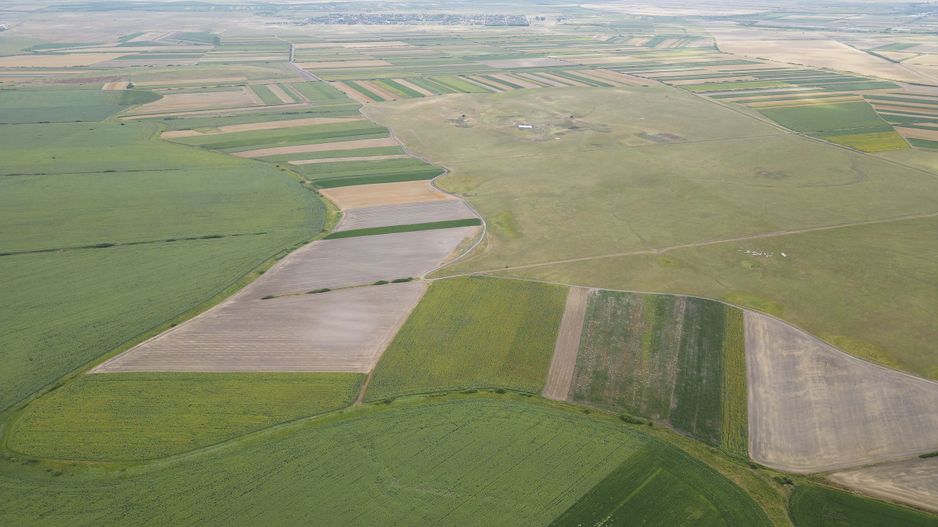 Teren arabil de 40 hectare în Zarand - Poză 1