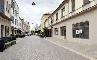 Spatiu Comercial Pietonala Vasile Alecsandri | 200 mp | Vitrina ampla - Poză 6