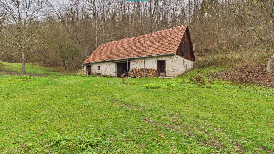 Casă cu teren de 24.679,73 mp, în Hălmagiu, Arad - Poză 13