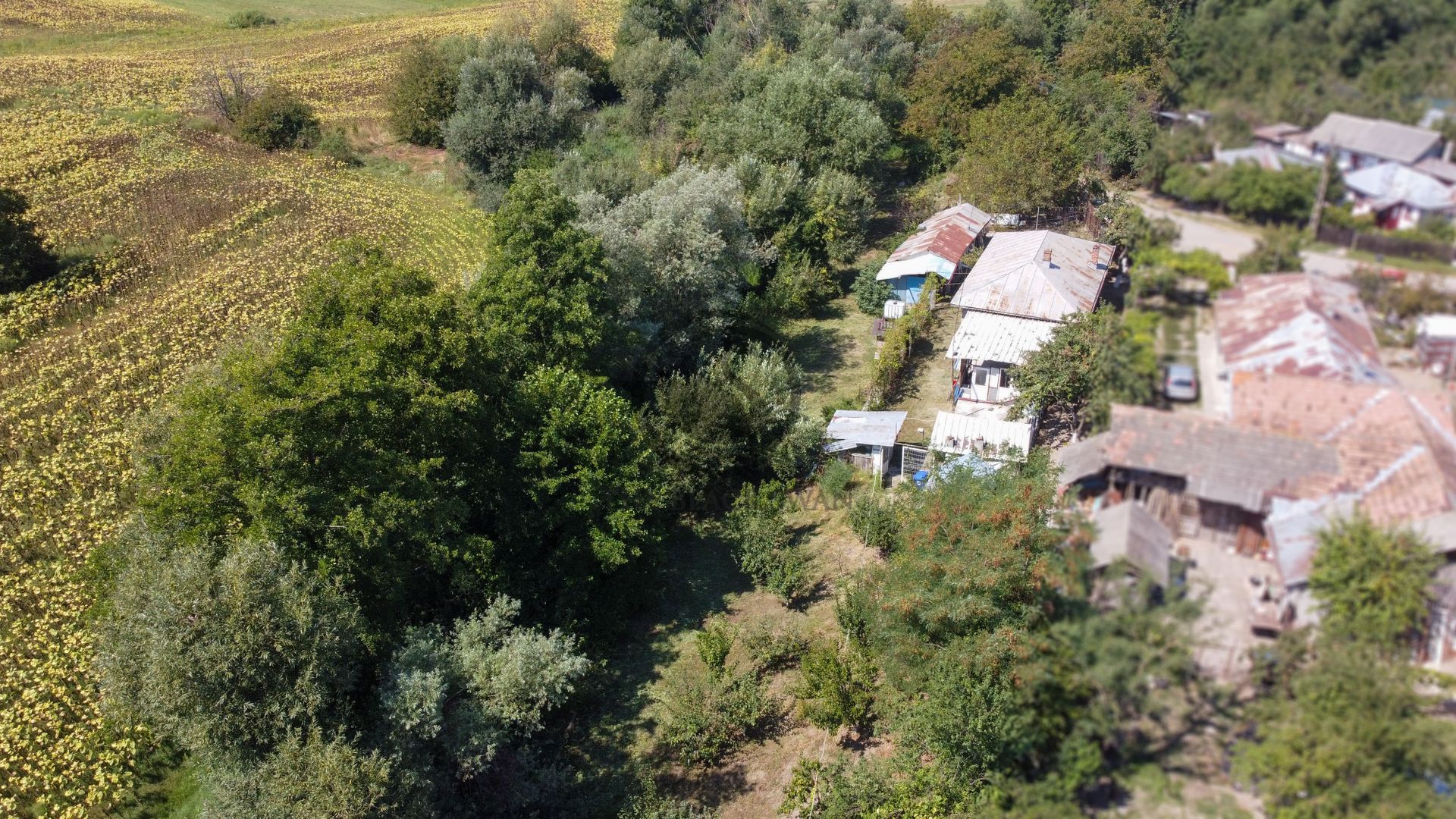 Casa de vanzare | Teren 3.000 mp | Izvor | Manesti - Coada Izvorului - Poză 13