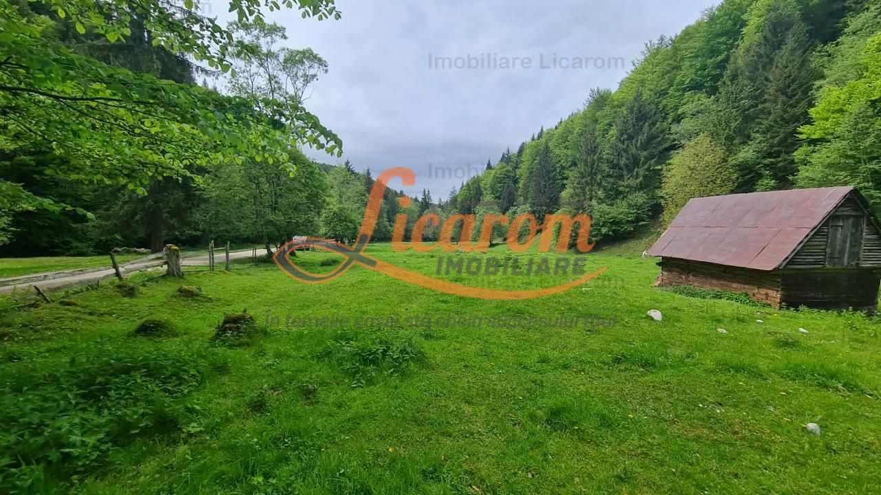 13005 mp teren faneata in Bran Simon cu fornt de 57 mp - Poză 5