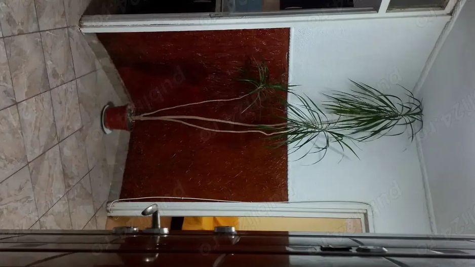 3 camere de vânzare, Titan - Auchan, zonă liniștită L331 - Poză 4