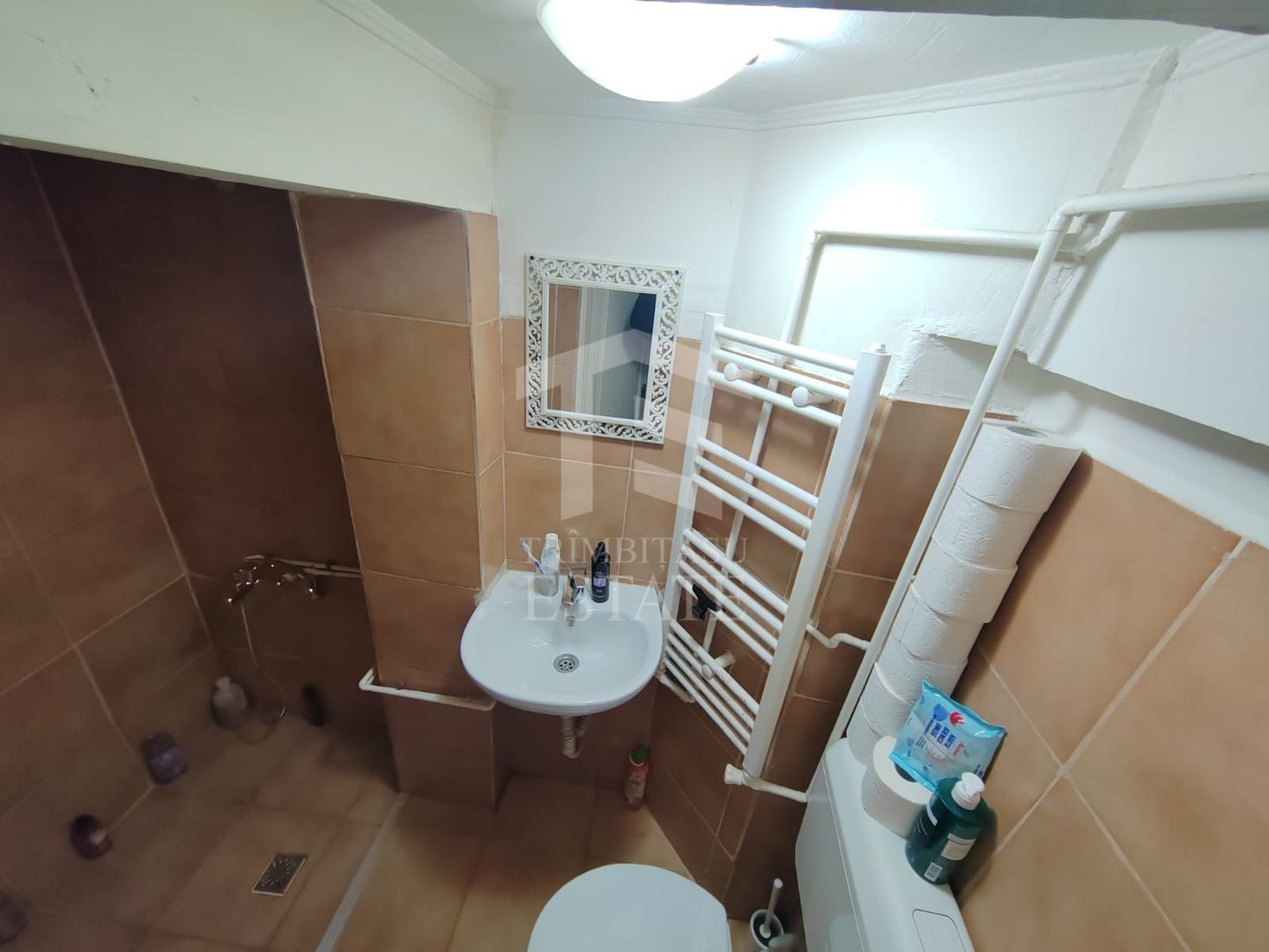 Mosilor Spatarului casa 3 camere - Poză 9