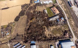 Teren 7800 mp Ineu - Poză 7