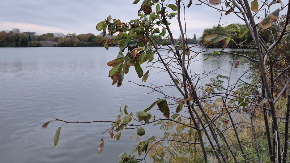 Green Lake | Lacul Baneasa | Sisesti | Vila cu 4 apartamente - Poză 14