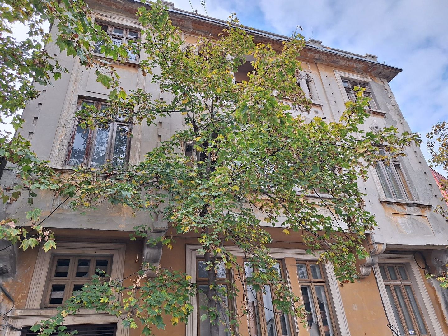 Proprietate Prestigioasa 700 mp - 344 mp teren Pache - Ferdinand - Poză 1