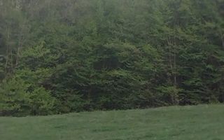 Casa Vantului si 8000 metri patrati in Abrud - Poză 9