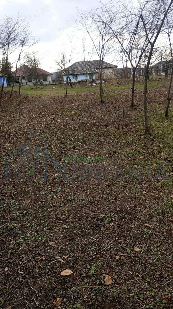 Casă nelocuibila cu teren Sculeni! - Poză 2