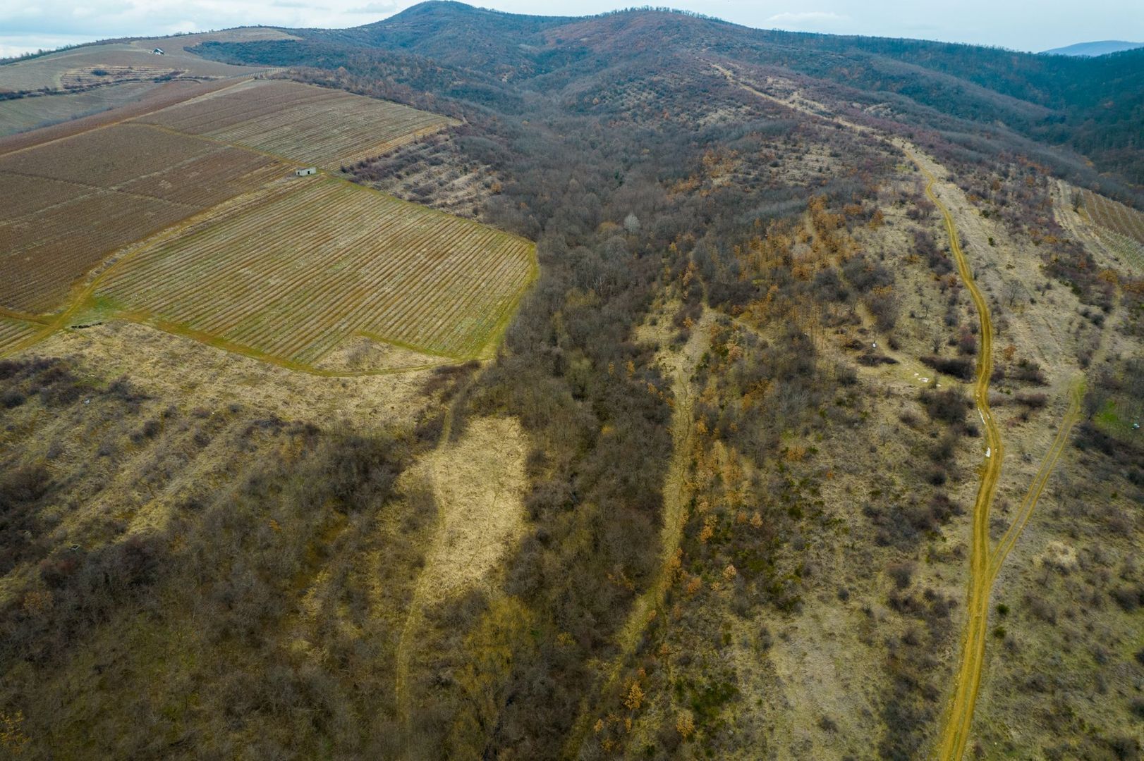 Teren pe deal în Miniș - Poză 3