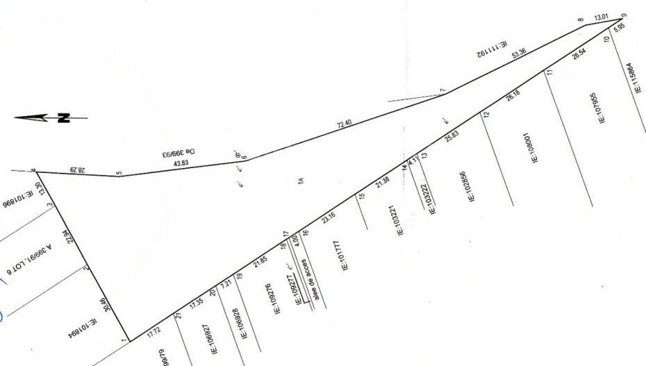 Teren Intravilan 5.000 mp – Perfect pentru Parc Fotovoltaic, Hale sau Lotizare - Poză 2