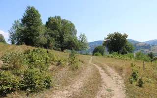 Terenuri Carpinis I parcelabil I Curent pe proprietati - Poză 50