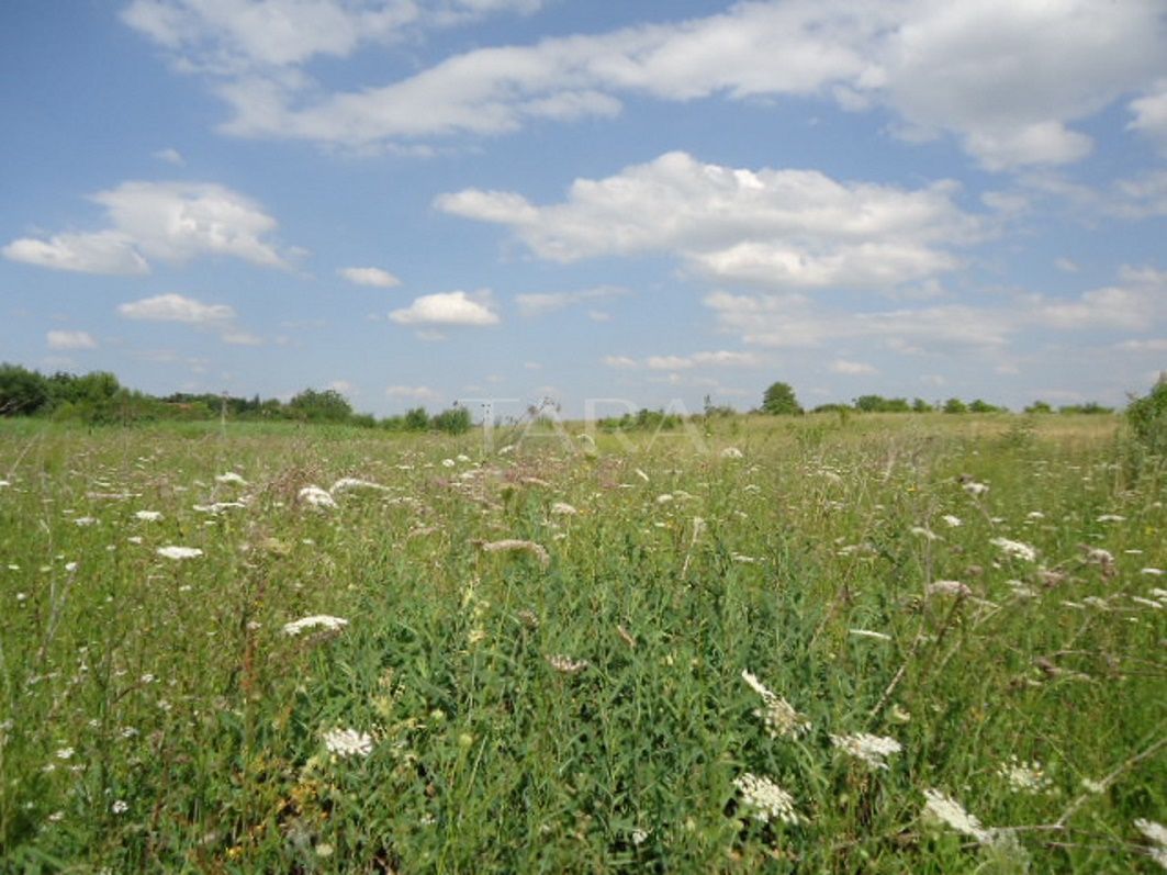 Teren 5,000mp Cluj-Napoca / Strada Intre Lacuri - Poză 1