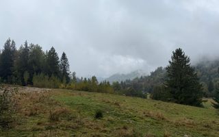 Teren Extravilan | 6.100 mp | Brodina | 41.500 € negociabil - Poză 5