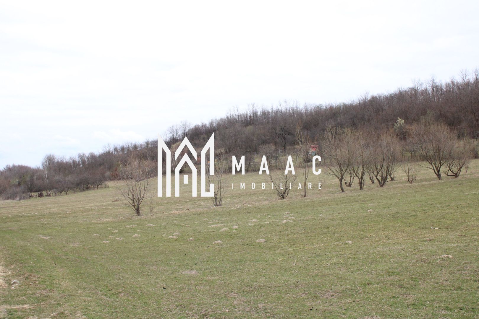 Pământ I Fereastră către Eternitate în  Transilvania - Poză 10