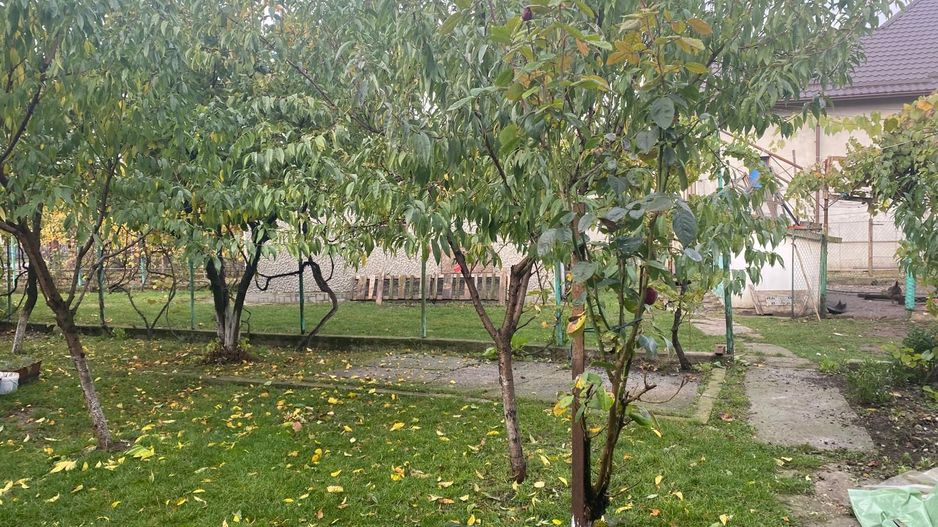 Vanzare casă cu teren generos în Săcueni, la 15 minute de Târgoviște - Poză 14