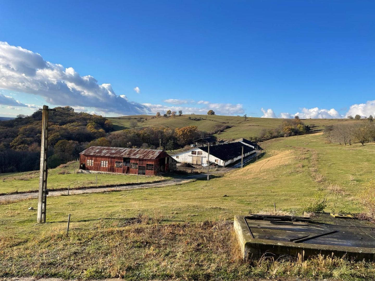 Ferma cu teren de 200 hectare - Poză 4