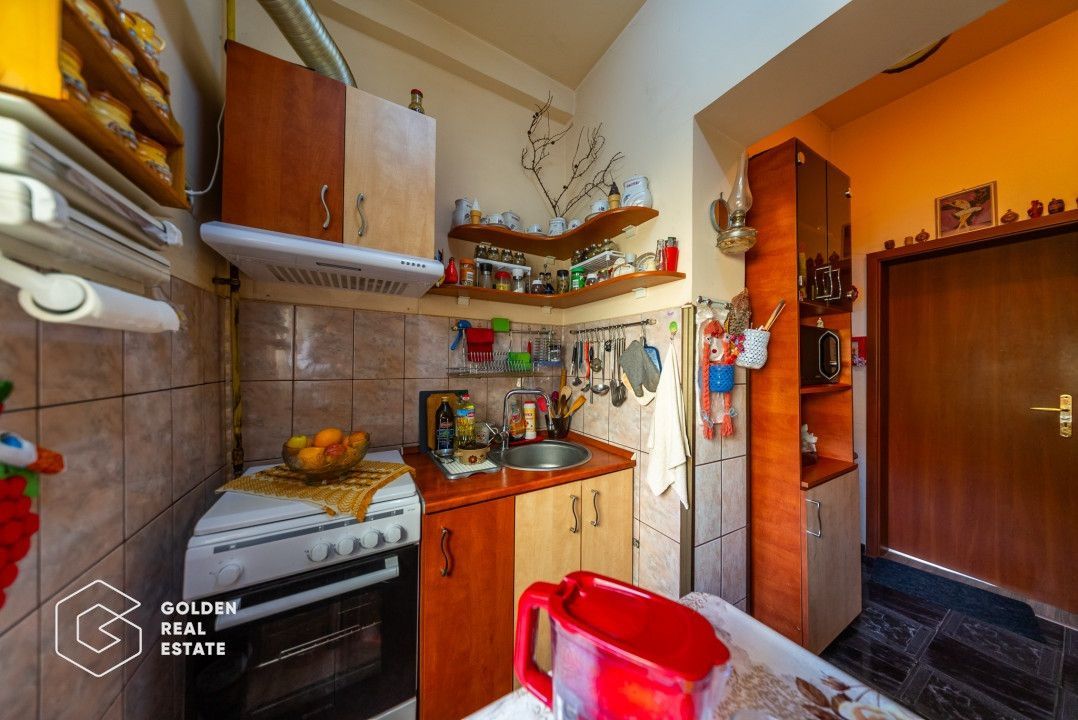 Rar pe piata! 2 apartamente singure in curte, fatada renovata, zona Teatru - Poză 6