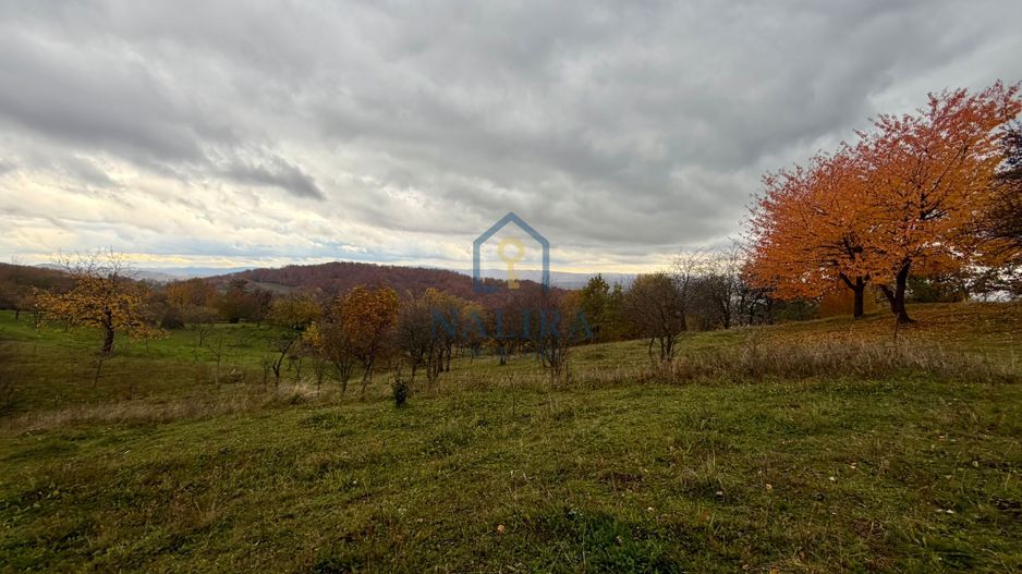 Teren Negreia - Poză 3