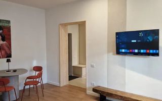 2 camere, modern, garaj, Gruia Zona Stadionul CFR, Panoramic, Baron - Poză 3