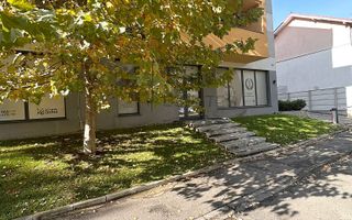 Spatiu Comercial de inchiriat zona Decebal Prima Shops - Poză 1