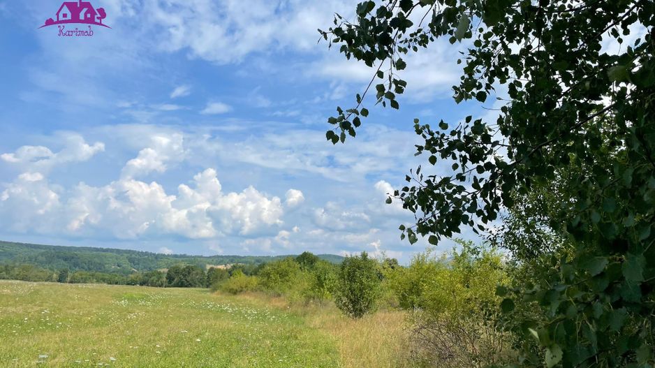 Teren de vanzare in Meziad. - Poză 3
