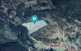 Teren 36000 mp, Borsec - Poză 2