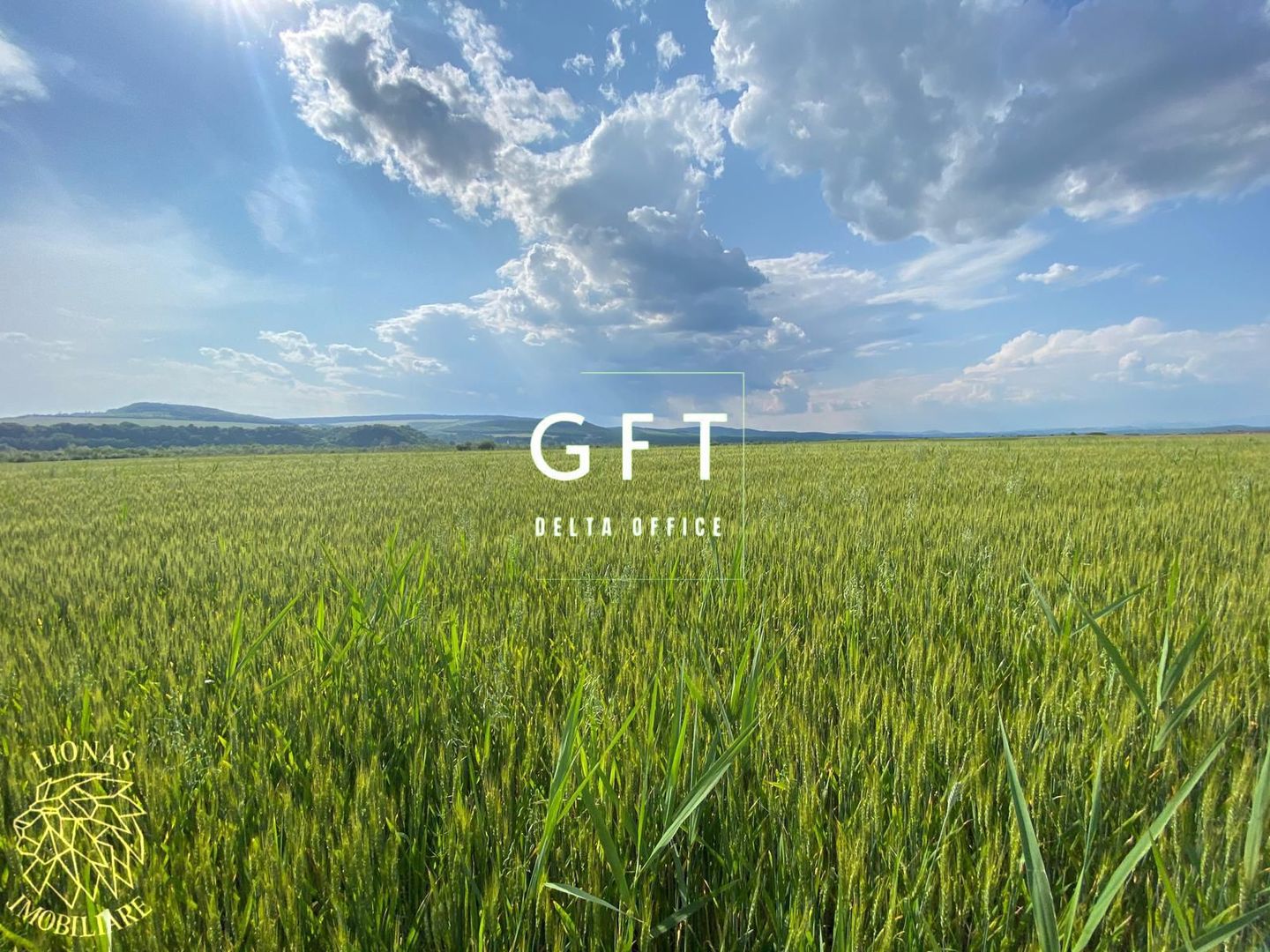 Teren -4.300 mp - Arabil - Chintelnic - Poză 3