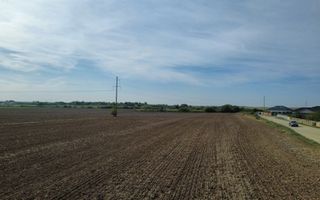 InvestZone vinde 10 ha la Santandrei - Poză 6