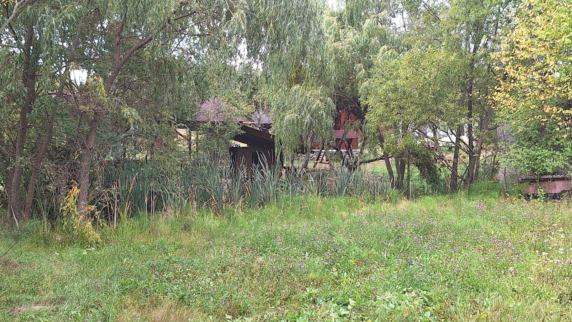 VANZARE ANSAMBLU CASUTE BRADULET ARGES - Poză 8