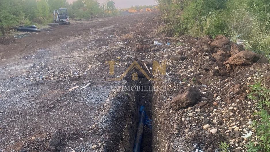 Teren Intravilan Dumbrăvița ,pretabil Duplex - Poză 8