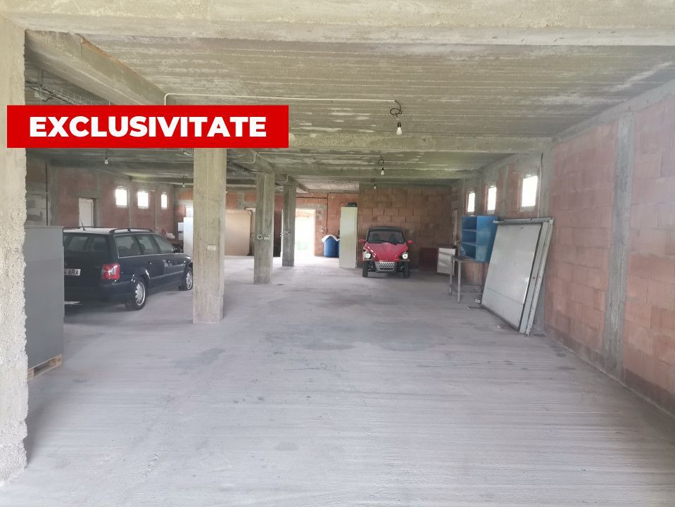 Inchiriere hala depozitare si teren, Labusesti - Poză 2