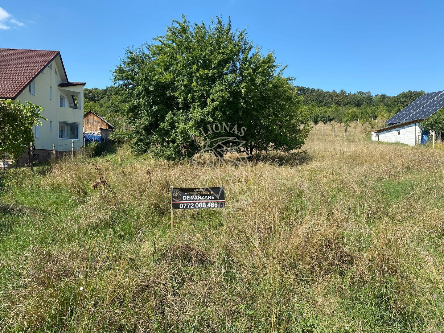 Teren intravilan 1300 mp-parcelabil-Viile cu Pomi-Unirea-Exclusiv - Poză 3