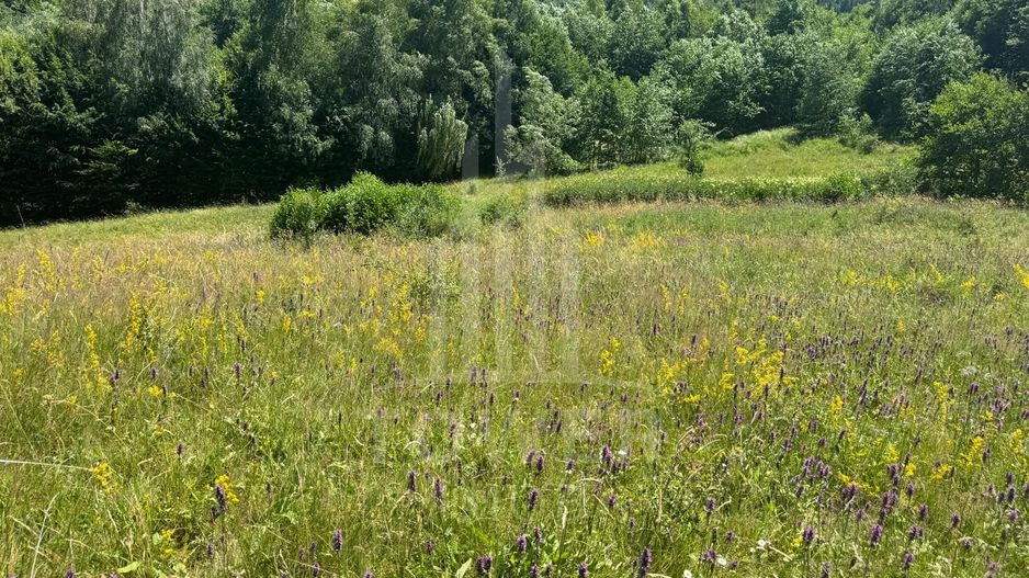 Teren intravilan 4600mp - 55 EUR/mp - EXCLUSIVITATE CISNADIOARA - COMISION 0% - Poză 10