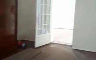 Casă individuală Dudeștii Noi | 2.526 mp teren | Pivniță - Poză 4