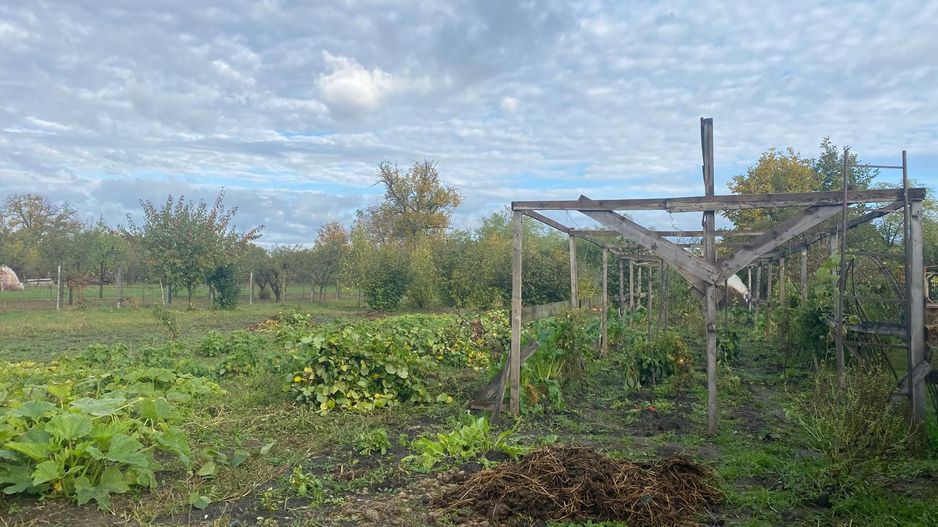 Vanzare casă cu teren generos în Săcueni, la 15 minute de Târgoviște - Poză 13