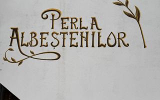 AFACERE FUNCTIONALA SALA EVENIMENTE SI PISCINA - Poză 17