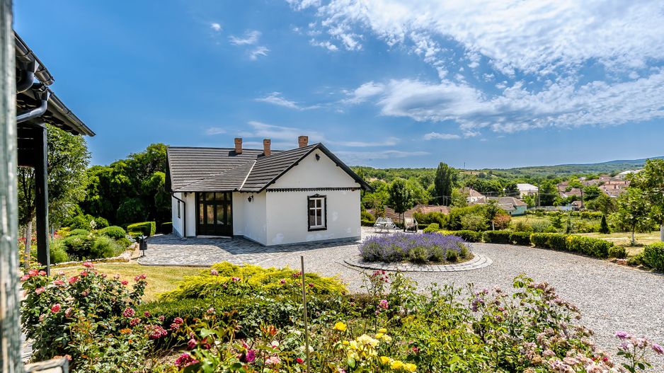 REZERVAT Visezi la o proprietate unică, plină de istorie și farmec? - Poză 3