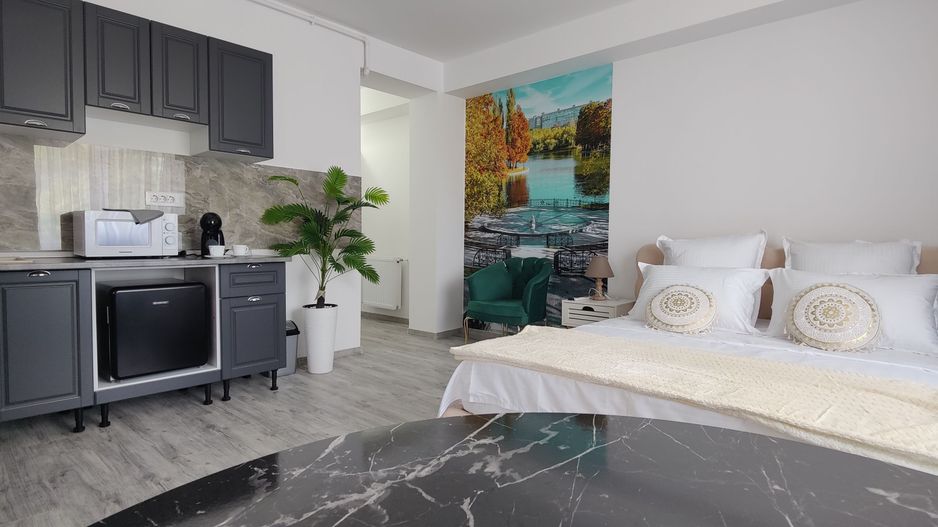 Studio modern, 40 mp | Strada Samuil Vulcan - Poză 4