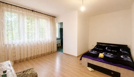 Apartament 1 camere de de vanzare zona Rogerius, Oradea