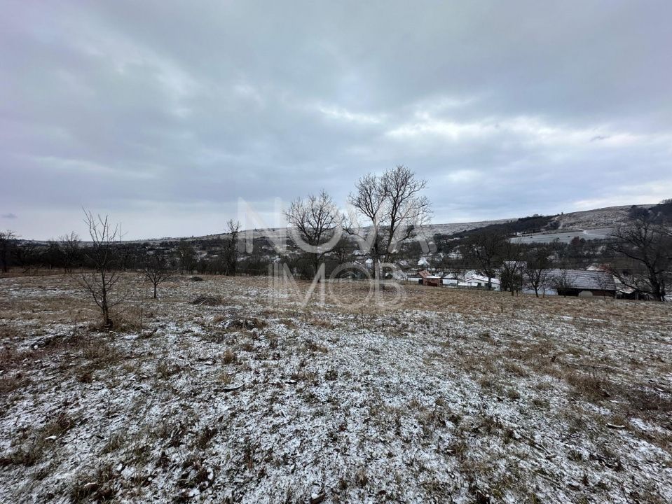 Casa individuala cu teren generos – 8.356 mp – Tichindeal, jud. Sibiu - Poză 8
