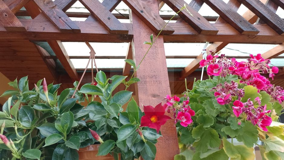 Casă de vacanță modernă cu teren generos –15min de Tecuci - Poză 20