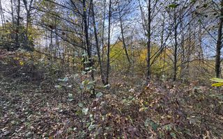 TEREN INTRAVILAN 13167 MP BUGHEA DE SUS ARGES - Poză 31