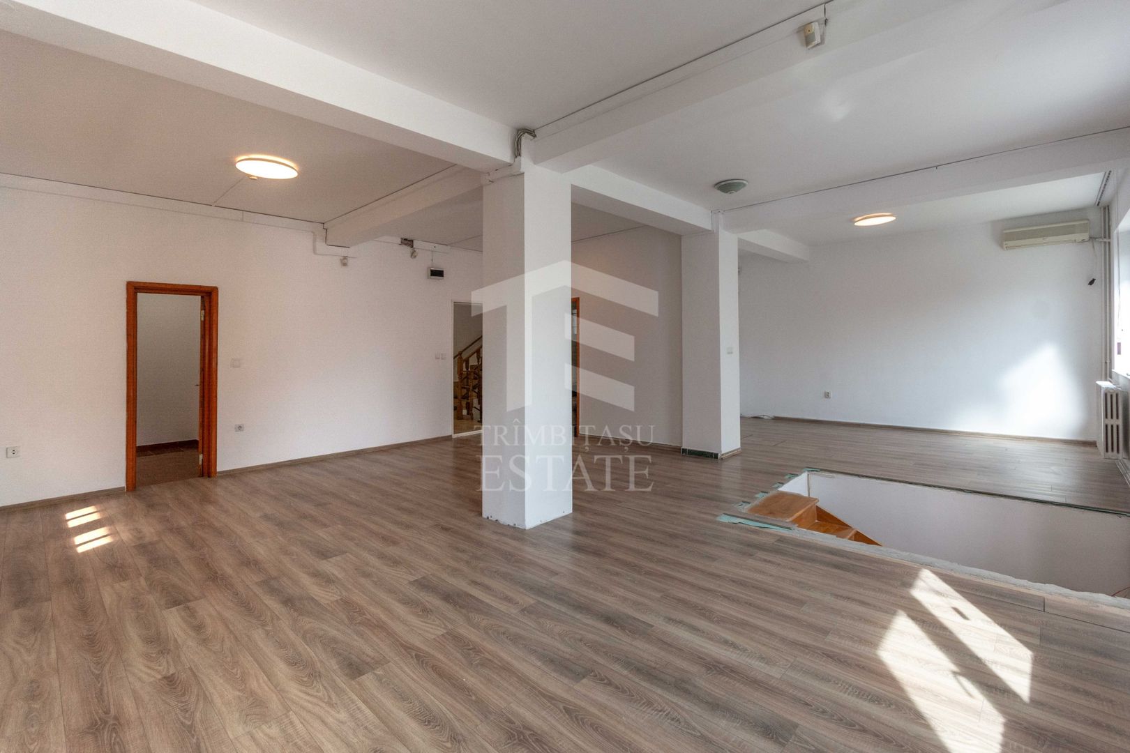 Aviatiei | Smaranda Braescu | Vila reprezentativa de inchiriat - Poză 24