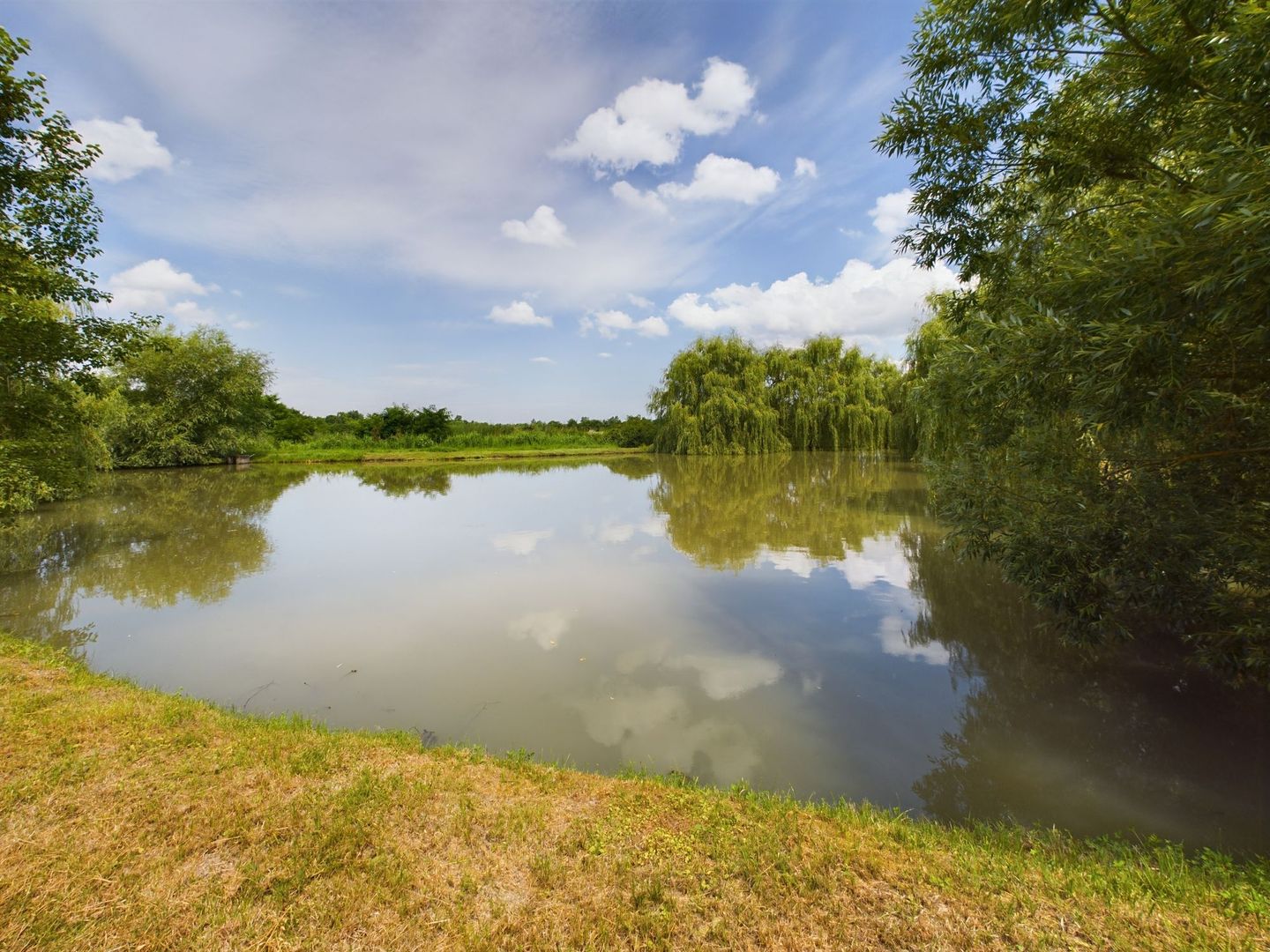 Moară istorică cu teren și luciu de apă în Aldești - Poză 9