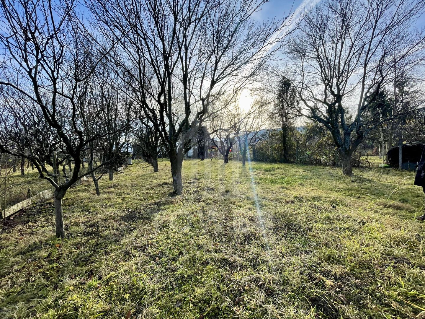 Teren intravilan 1.915 mp + cabană din lemn | Tocile – Sadu - Poză 1